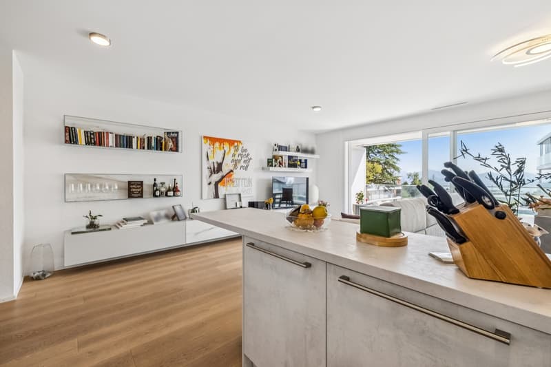 Magnifique appartement minergie avec grande terrasse de 42 m² vue lac (5)