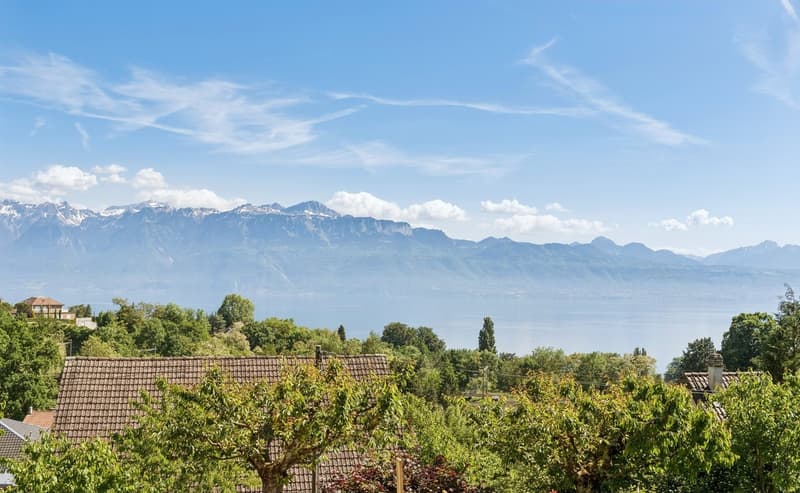 Duplex avec vue exceptionnelle sur le lac - Une terrasse sur le Léman (3)
