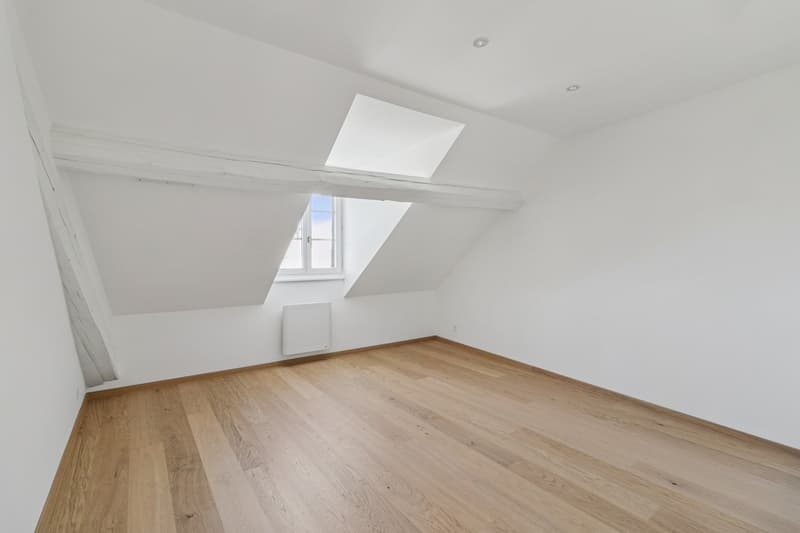 Magnifique appartement rénové de 5.5 pièces (5)