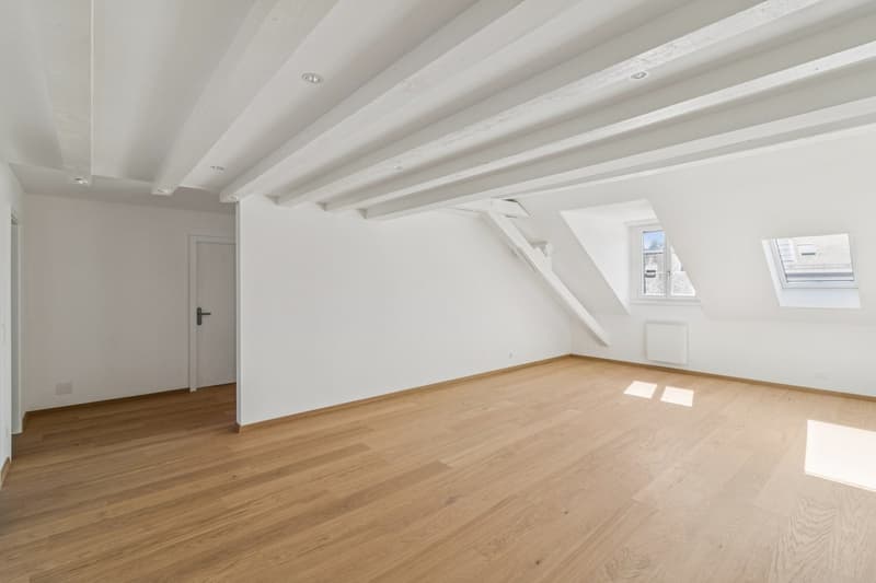 Magnifique appartement rénové de 5.5 pièces (10)
