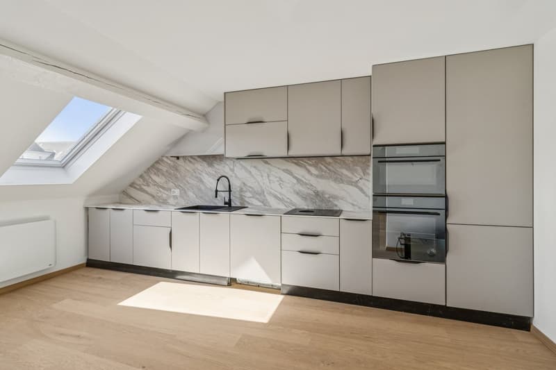Magnifique appartement rénové de 5.5 pièces (7)