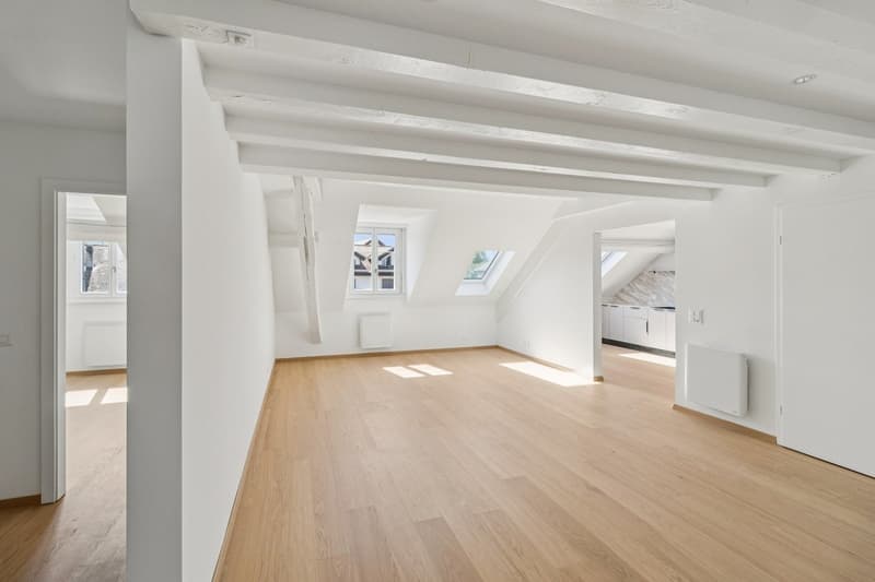 Magnifique appartement rénové de 5.5 pièces (9)