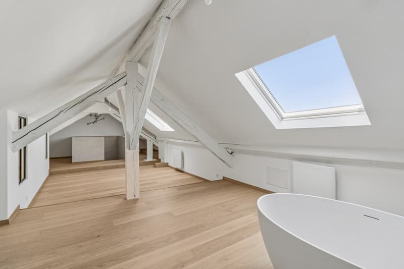 Magnifique appartement rénové de 5.5 pièces (2)