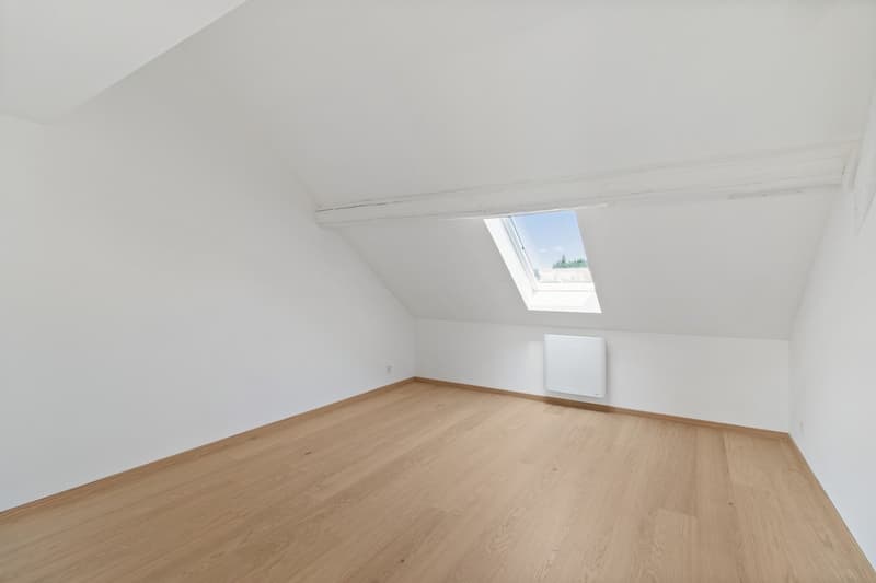 Magnifique appartement rénové de 5.5 pièces (4)