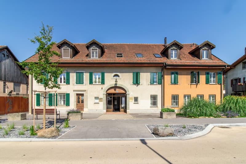 Magnifique appartement rénové de 5.5 pièces (1)