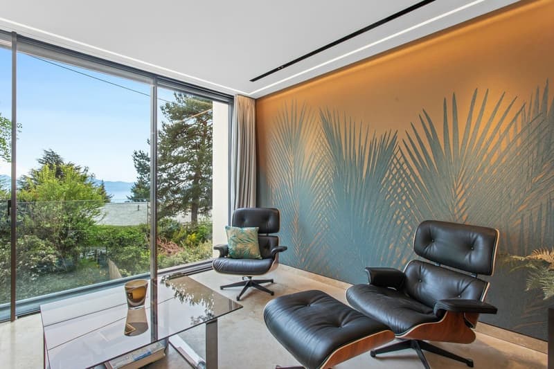 L'une des plus célèbres adresses ! Luxueuse propriété contemporaine (9)