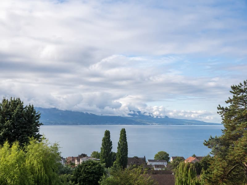 Une adresse rare à Pully sud, un potentiel de transformation unique! (1)