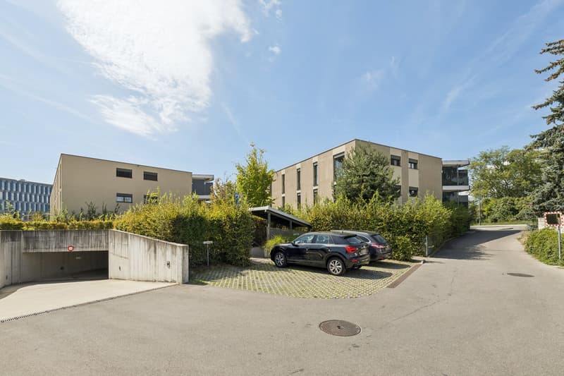 Attique contemporain à Saint-Sulpice (13)