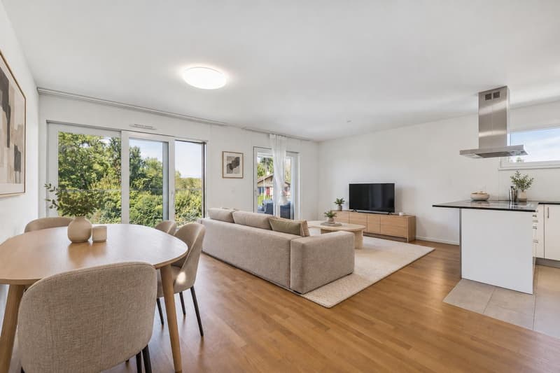 Attique contemporain à Saint-Sulpice (12)