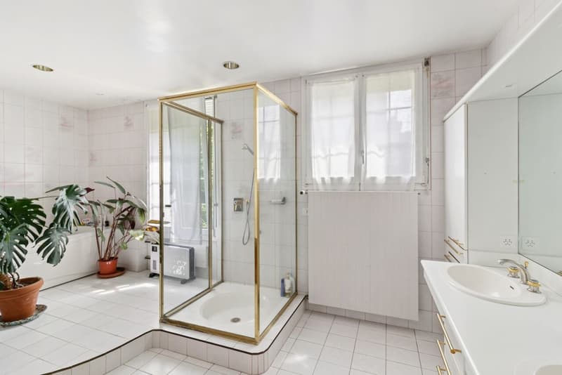 Superbe appartement avec grand jardin - Joli dégagement sur le lac (8)