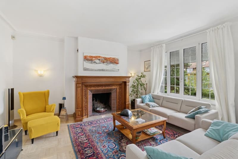 Superbe appartement avec grand jardin - Joli dégagement sur le lac (3)