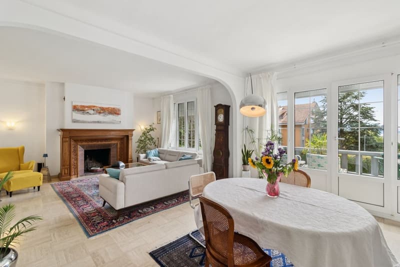 Superbe appartement avec grand jardin - Très jolie vue sur le lac (4)