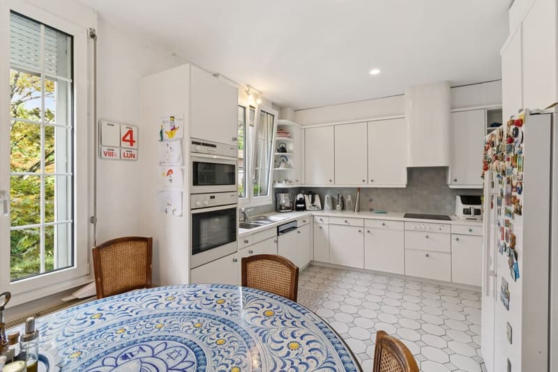 Superbe appartement avec grand jardin - Très jolie vue sur le lac (7)