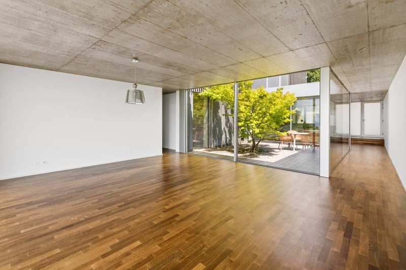 Entre architecture contemporaine, patio privé et panorama sur le Léman (12)