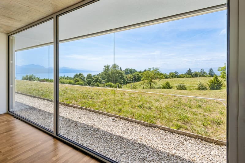 Entre architecture contemporaine, patio privé et panorama sur le Léman (4)