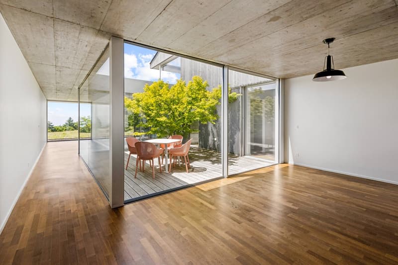 Entre architecture contemporaine, patio privé et panorama sur le Léman (10)