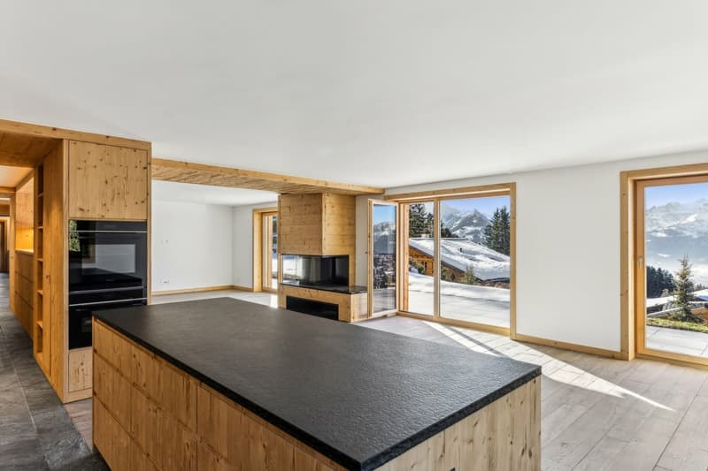 Rare duplex avec jardin, ski-in & ski-out, vue sublime! (3)