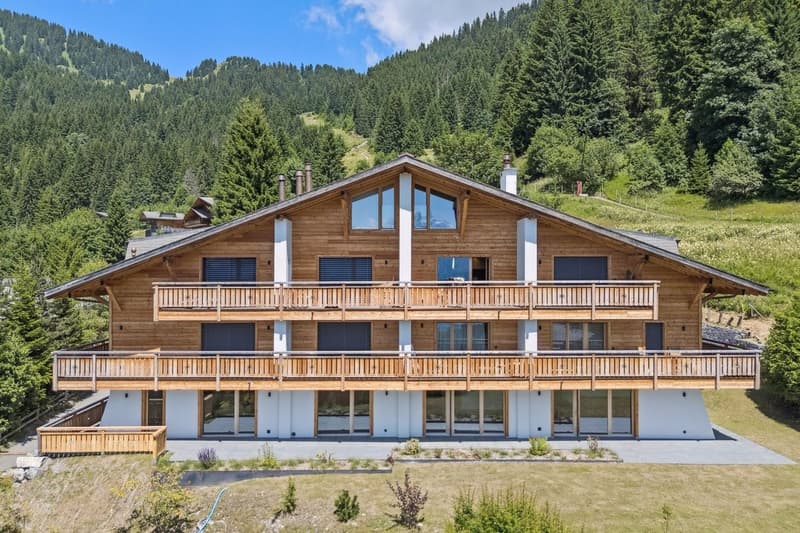 Rare duplex avec jardin, ski-in & ski-out, vue sublime! (6)