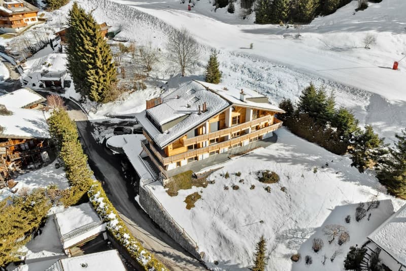 Rare duplex avec jardin, ski-in & ski-out, vue sublime! (2)