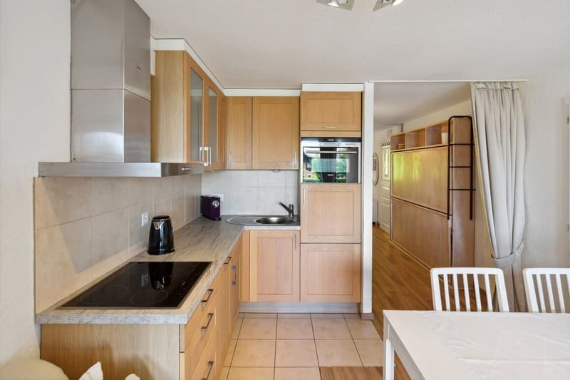 Splendide double appartement rénové avec piscine intérieure (5)
