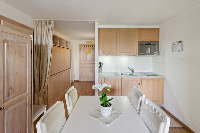 Splendide double appartement rénové avec piscine intérieure (7)