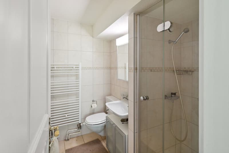 Splendide double appartement rénové avec piscine intérieure (9)