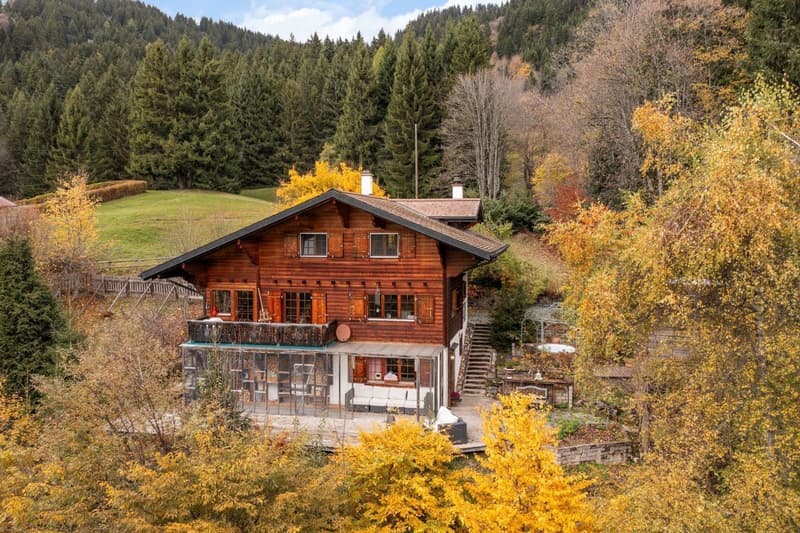 Chalet Rose : Un havre de paix verdoyant à la Barboleuse (4)