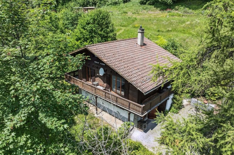 Chalet familial de 5 chambres à l'entrée de Villars-sur-Ollon (3)