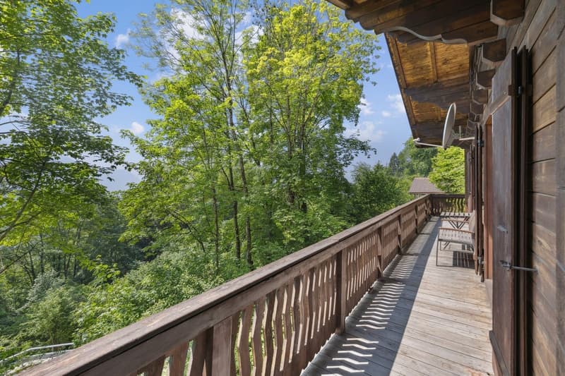 Chalet familial de 5 chambres à l'entrée de Villars-sur-Ollon (12)