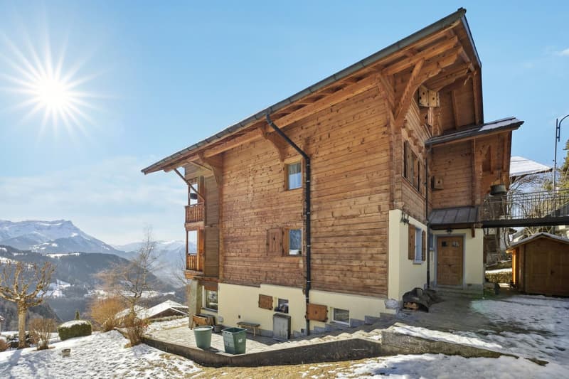 Splendide attique rénové - Vue imprenable sur les Alpes (2)