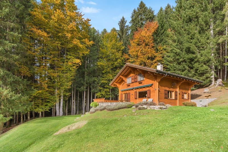 Chalet "Au Paradis" - Un havre de paix au coeur de la nature (3)