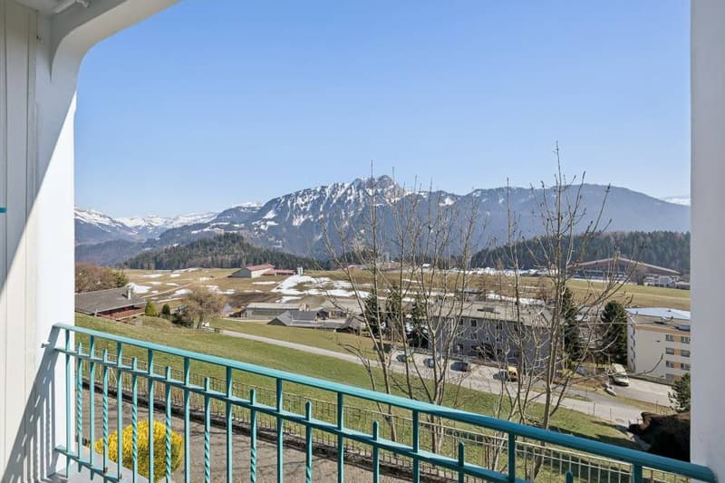 Splendide duplex 4 chambres avec jardin privatif (9)