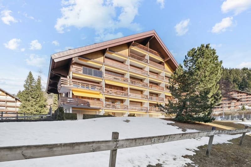 Améthyste 10 - Appartement rénové avec balcon aux Roche Grises (2)