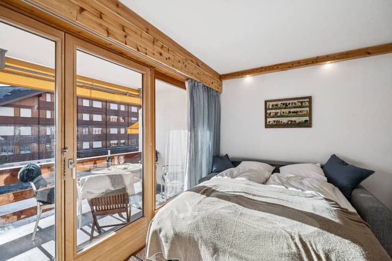 Améthyste 10 - Appartement rénové avec balcon aux Roche Grises (8)