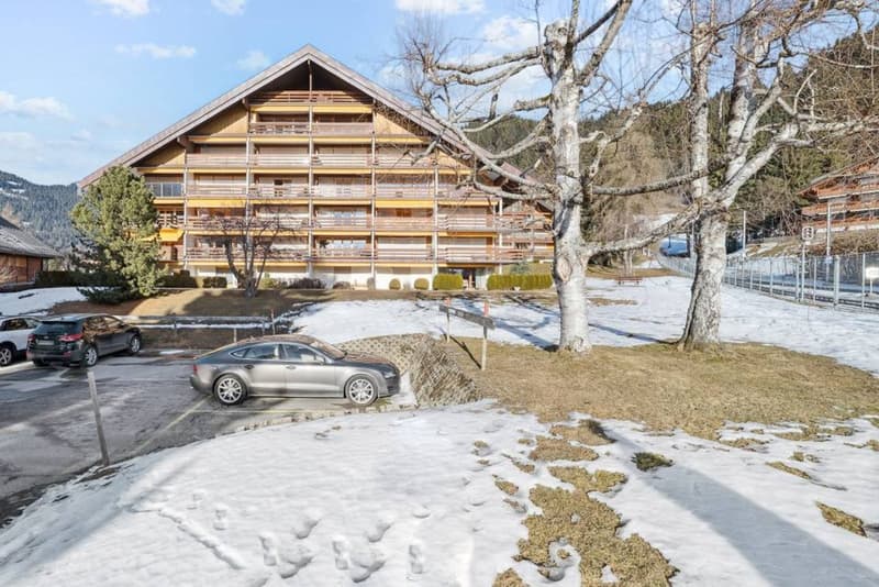 Améthyste 10 - Appartement rénové avec balcon aux Roche Grises (9)