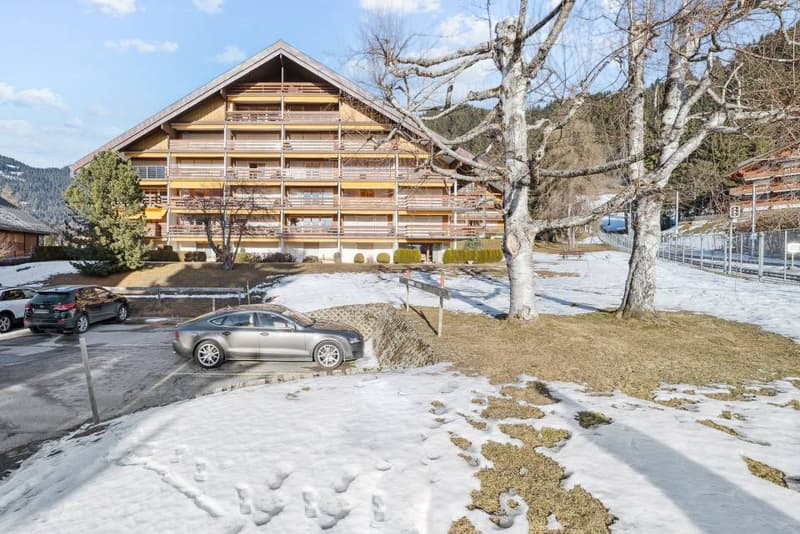 Améthyste 10 - Appartement rénové avec balcon aux Roche Grises (9)
