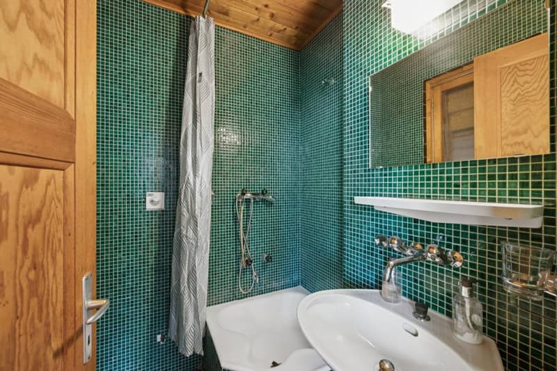 Chalet familial et appartement 3.5p, Barboleuse, Proche transports (8)
