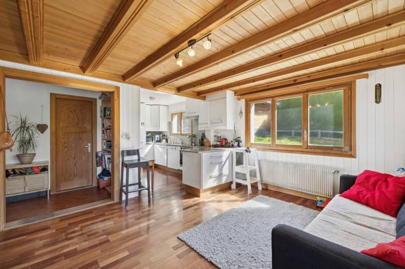 Chalet familial et appartement 3.5p, Barboleuse, Proche transports (10)