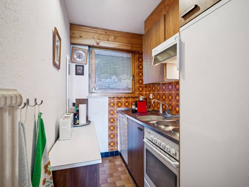 Bel appartement avec grande terrasse Sud et vue panoramique (10)