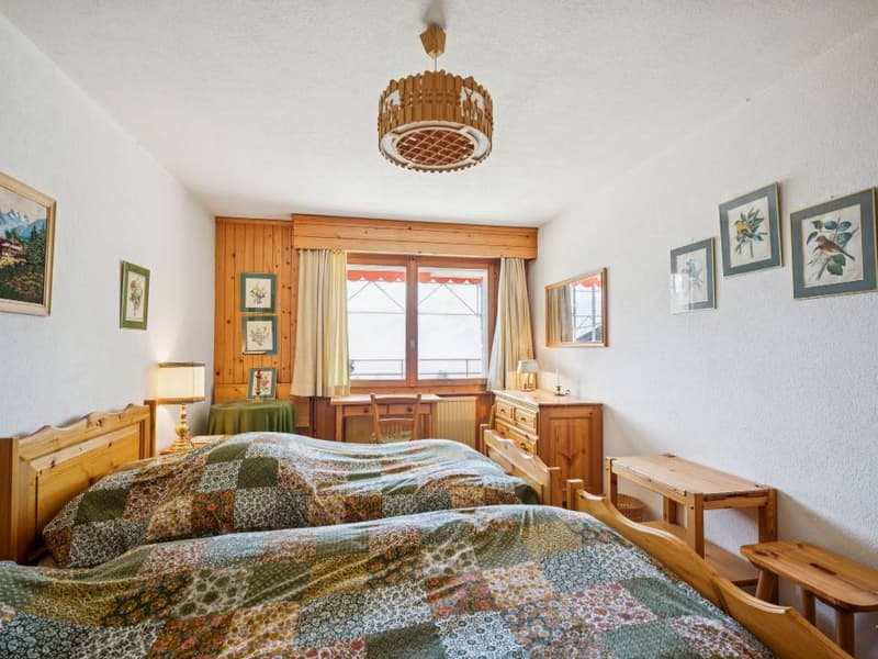 Bel appartement avec grande terrasse Sud et vue panoramique (7)