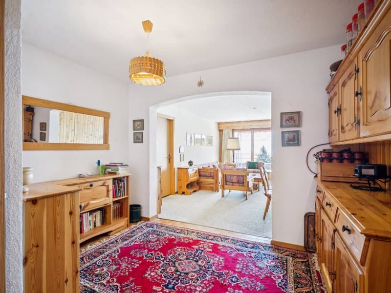 Bel appartement avec grande terrasse Sud et vue panoramique (11)