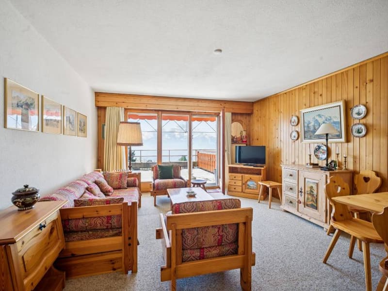 Bel appartement avec grande terrasse Sud et vue panoramique (2)