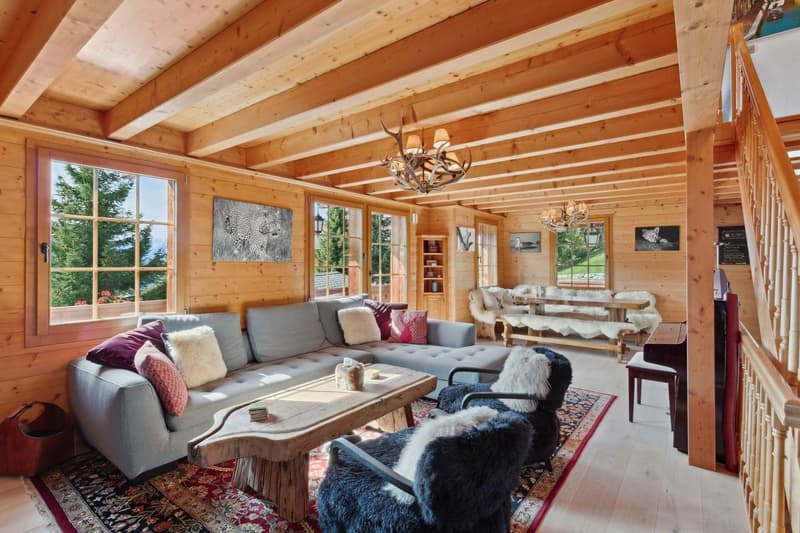 Chalet avec home cinema / jacuzzi intérieur / Vue panoramique (3)