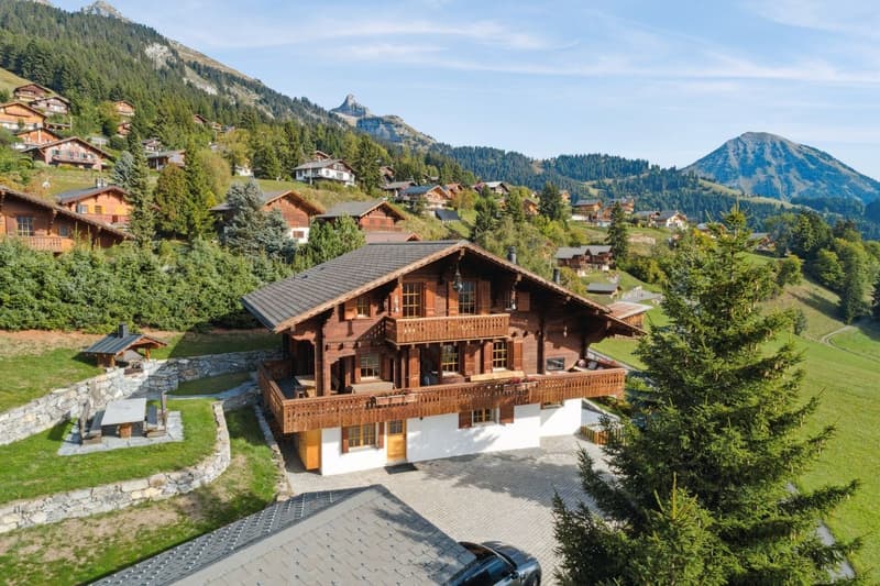 Chalet avec home cinema / jacuzzi intérieur / Vue panoramique (8)