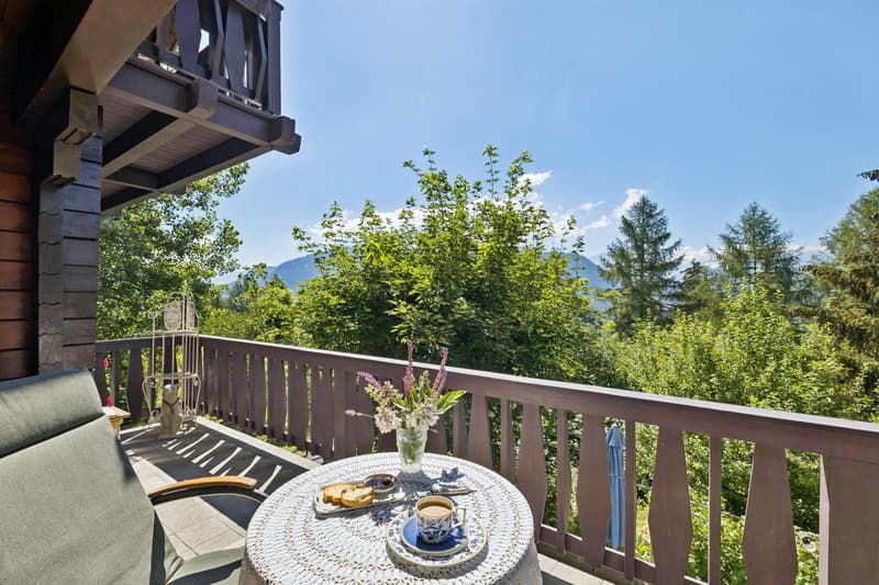 Balcon offrant une agréable vue sur la forêt et les montagnes environnantes, véritable invitation à la détente.