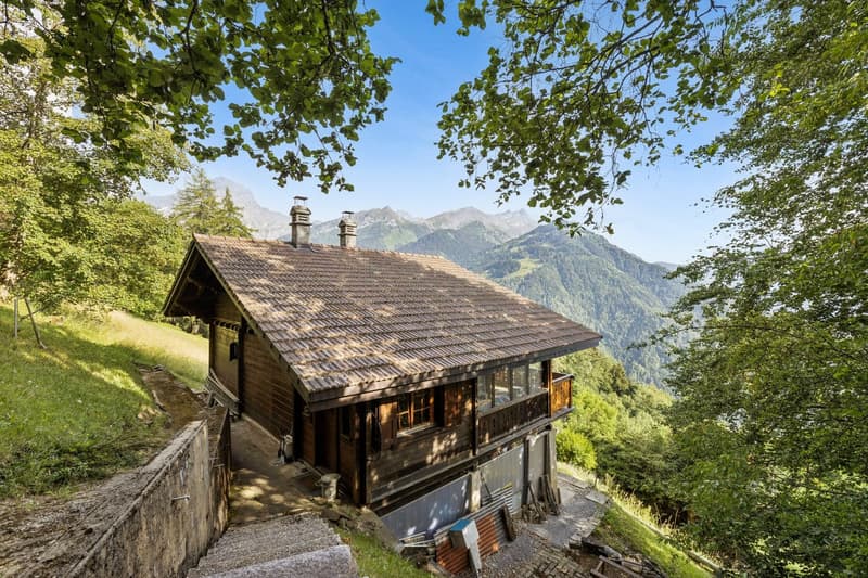 Vue arrivée chalet