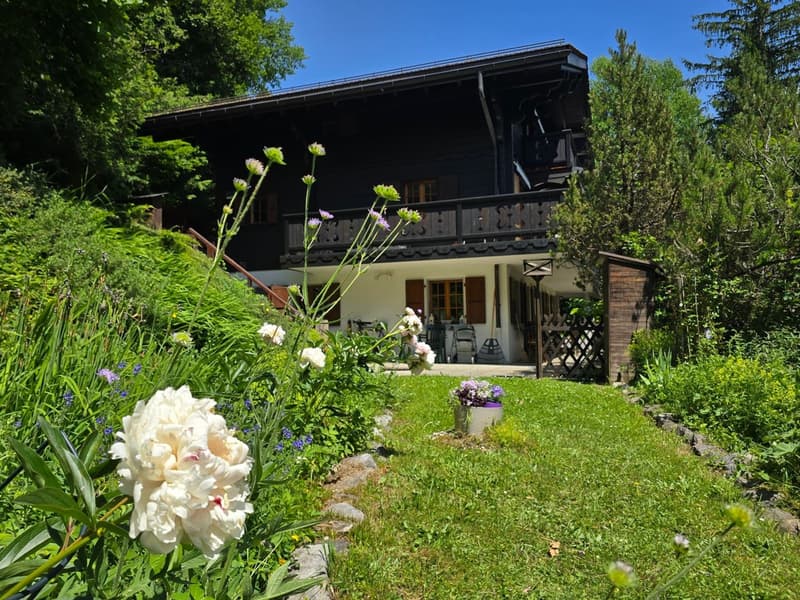 Chalet Muir Woods - environnement verdoyant, proche des transports (4)