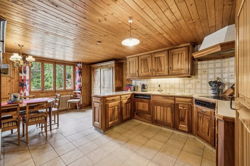 Spacieux chalet de 4 appartements avec vue spectaculaire et grand jard (5)
