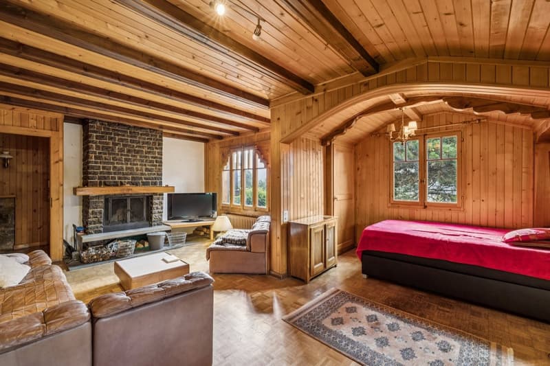Spacieux chalet de 4 appartements avec vue spectaculaire et grand jard (7)