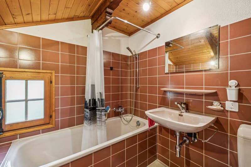Spacieux chalet de 4 appartements avec vue spectaculaire et grand jard (8)